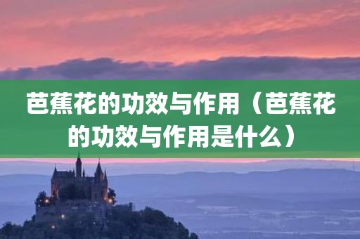 芭蕉花的功效与作用（芭蕉花的功效与作用是什么）