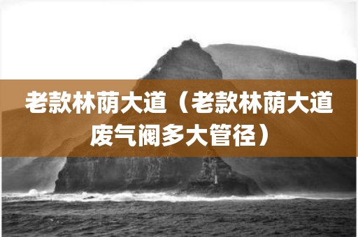 老款林荫大道（老款林荫大道废气阀多大管径）