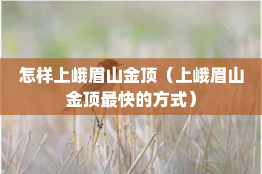 怎样上峨眉山金顶（上峨眉山金顶最快的方式）