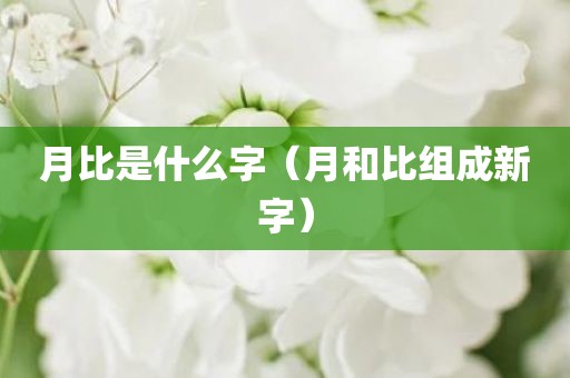 月比是什么字（月和比组成新字）