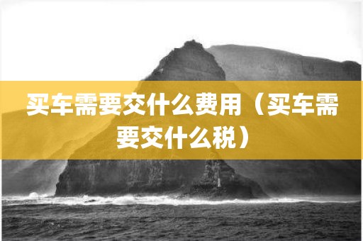 买车需要交什么费用（买车需要交什么税）