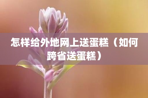 怎样给外地网上送蛋糕（如何跨省送蛋糕）