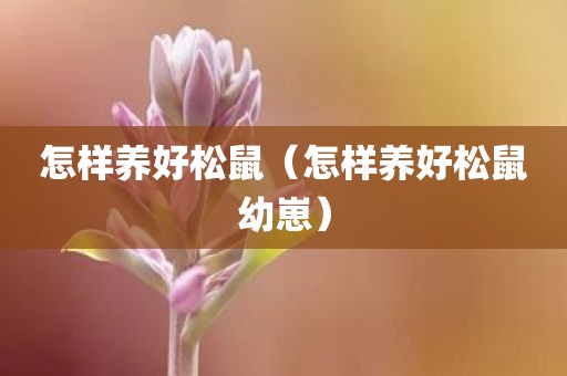 怎样养好松鼠（怎样养好松鼠幼崽）