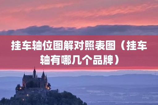 挂车轴位图解对照表图（挂车轴有哪几个品牌）