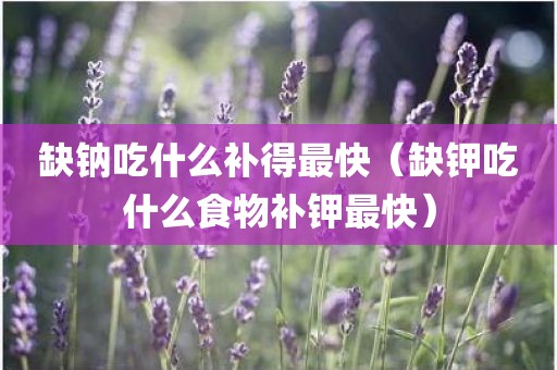 缺钠吃什么补得最快(缺钾吃什么食物补钾最快)