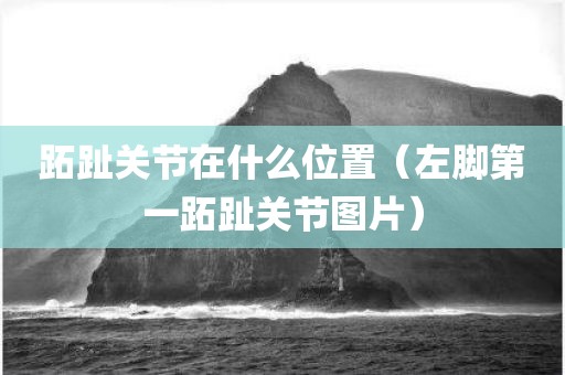 跖趾关节在什么位置(左脚第一跖趾关节图片)