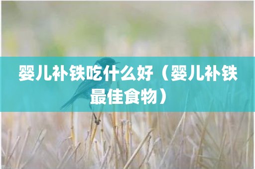 婴儿补铁吃什么好（婴儿补铁最佳食物）