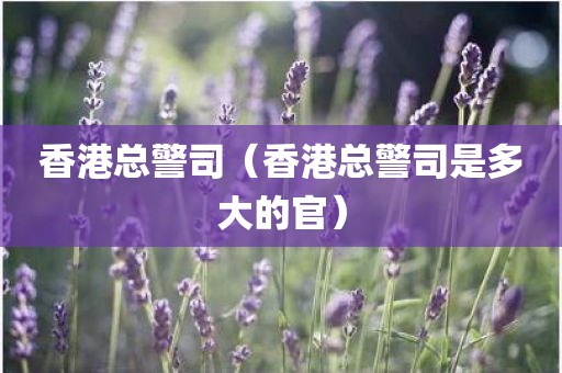 香港总警司（香港总警司是多大的官）