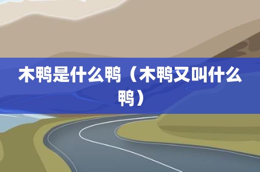 木鸭是什么鸭（木鸭又叫什么鸭）