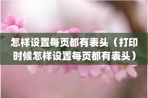 怎样设置每页都有表头（打印时候怎样设置每页都有表头）
