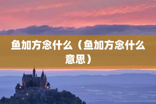 鱼加方念什么（鱼加方念什么意思）