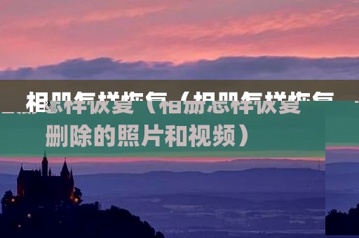 相册怎样恢复（相册怎样恢复删除的照片和视频）