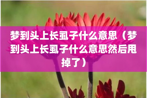 梦到头上长虱子什么意思（梦到头上长虱子什么意思然后甩掉了）