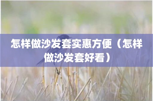 怎样做沙发套实惠方便（怎样做沙发套好看）