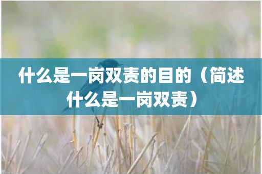 什么是一岗双责的目的（简述什么是一岗双责）