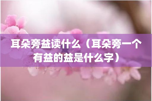耳朵旁益读什么（耳朵旁一个有益的益是什么字）