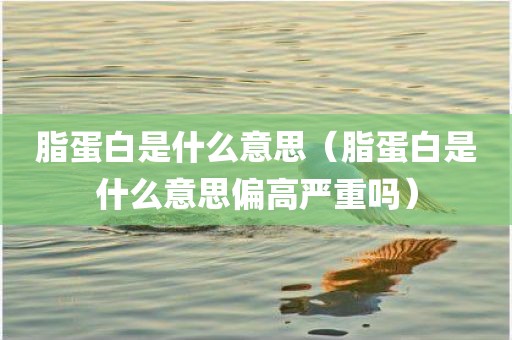 脂蛋白是什么意思（脂蛋白是什么意思偏高严重吗）