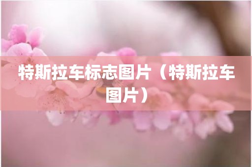 特斯拉车标志图片（特斯拉车图片）