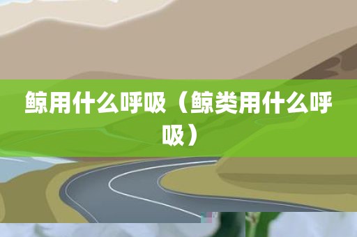 鲸用什么呼吸（鲸类用什么呼吸）