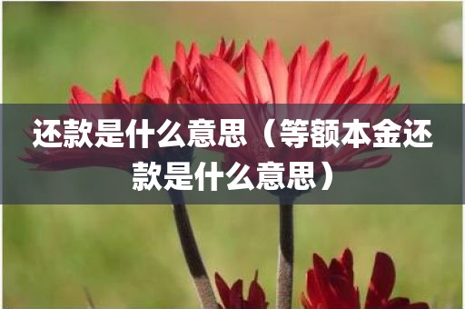 还款是什么意思（等额本金还款是什么意思）