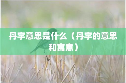 丹字意思是什么（丹字的意思和寓意）