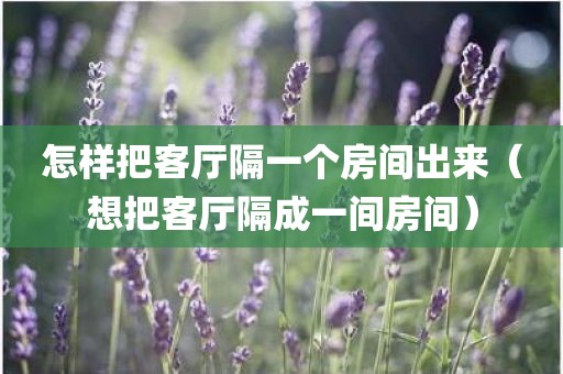 怎样把客厅隔一个房间出来（想把客厅隔成一间房间）
