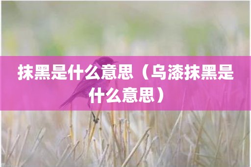 抹黑是什么意思（乌漆抹黑是什么意思）
