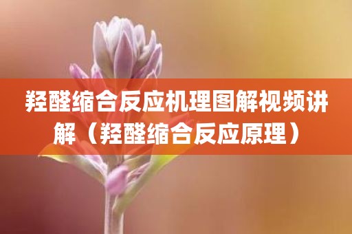 羟醛缩合反应机理图解视频讲解(羟醛缩合反应原理)