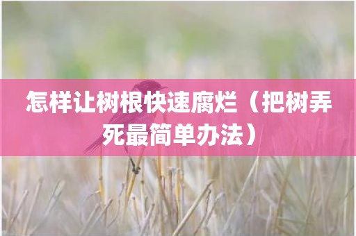 怎样让树根快速腐烂（把树弄死最简单办法）