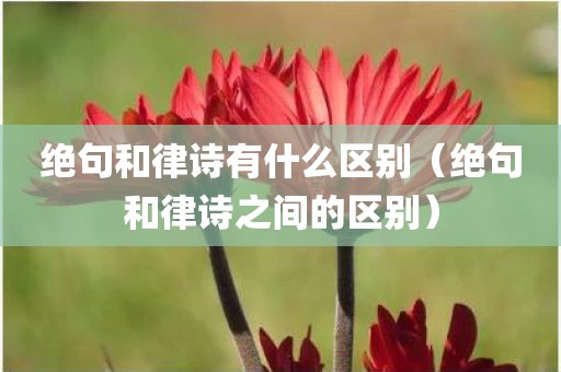 绝句和律诗有什么区别（绝句和律诗之间的区别）