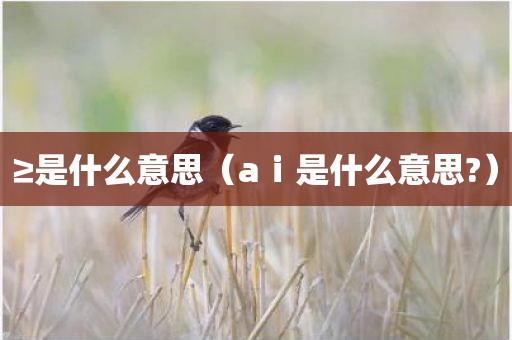 ≥是什么意思（aⅰ是什么意思?）
