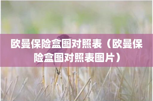 欧曼保险盒图对照表（欧曼保险盒图对照表图片）