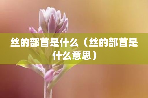丝的部首是什么（丝的部首是什么意思）
