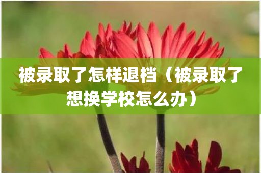 被录取了怎样退档（被录取了想换学校怎么办）