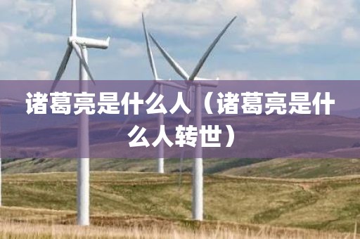 诸葛亮是什么人（诸葛亮是什么人转世）
