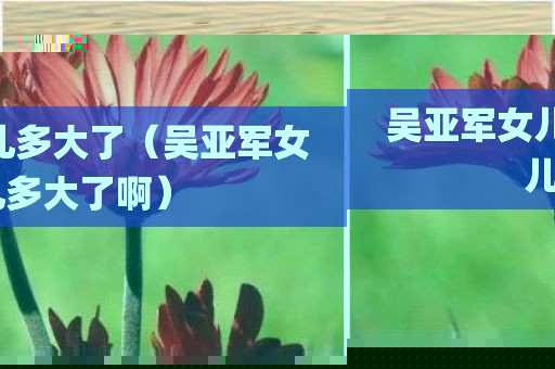 吴亚军女儿多大了（吴亚军女儿多大了啊）