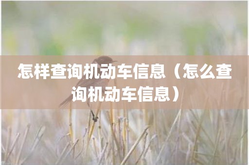 怎样查询机动车信息（怎么查询机动车信息）