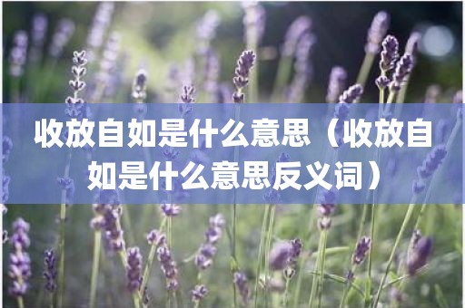 收放自如是什么意思（收放自如是什么意思反义词）