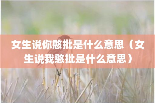 女生说你憨批是什么意思(女生说我憨批是什么意思)