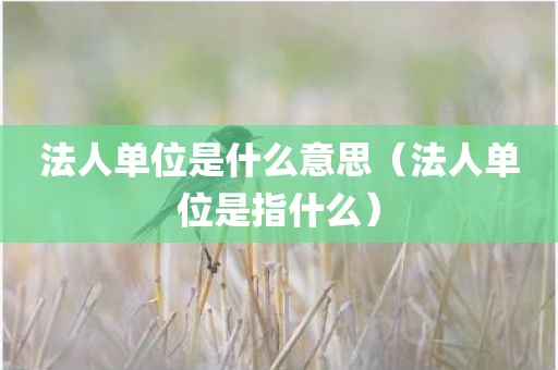 法人单位是什么意思（法人单位是指什么）