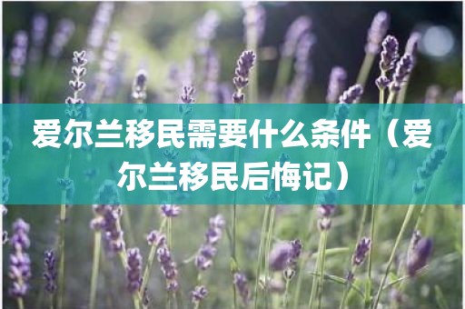 爱尔兰移民需要什么条件（爱尔兰移民后悔记）