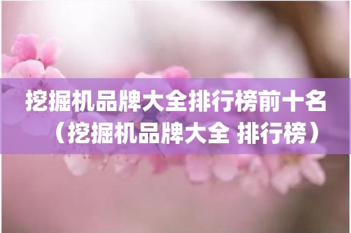 挖掘机品牌大全排行榜前十名（挖掘机品牌大全 排行榜）