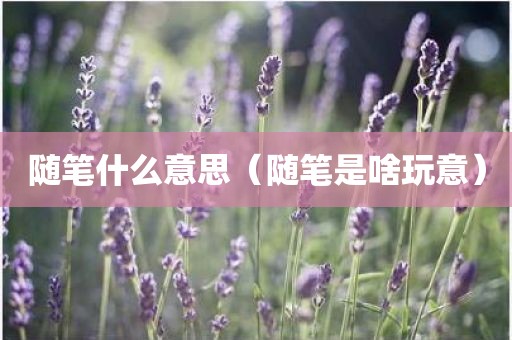 随笔什么意思（随笔是啥玩意）