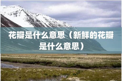 花瓣是什么意思（新鲜的花瓣是什么意思）