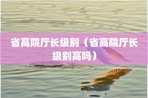 省高院厅长级别（省高院厅长级别高吗）