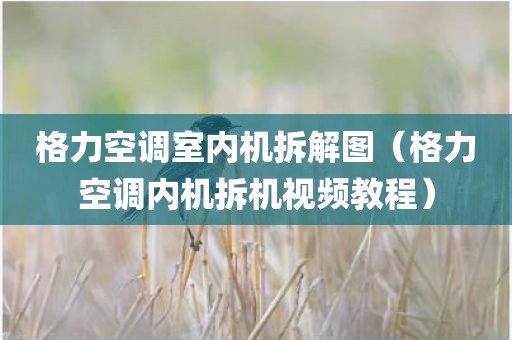 格力空调室内机拆解图（格力空调内机拆机视频教程）