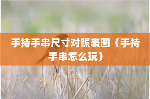手持手串尺寸对照表图（手持手串怎么玩）