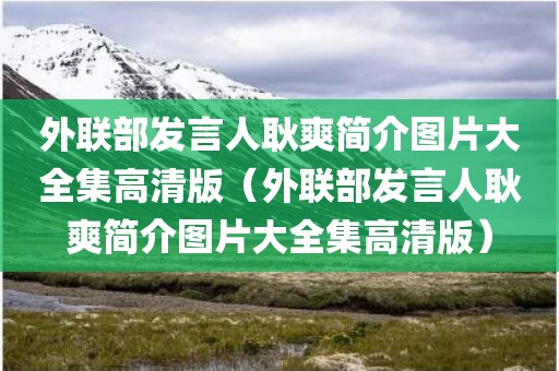 外联部发言人耿爽简介图片大全集高清版（外联部发言人耿爽简介图片大全集高清版）