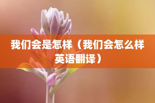 我们会是怎样（我们会怎么样英语翻译）