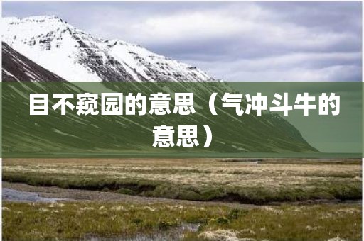 目不窥园的意思（气冲斗牛的意思）